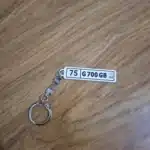 fs (40)