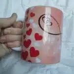 fs (8)